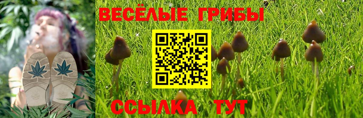 Галлюциногенные грибы мухоморы Казань