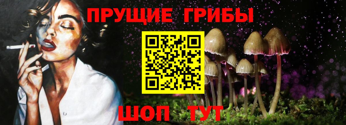 Псилоцибиновые грибы прущие грибы  Вход с VPN  Казань 